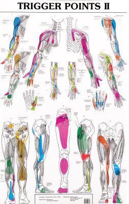 trigger-points-chart-massage-therapy